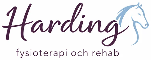 Harding Fysioterapi & Rehab AB